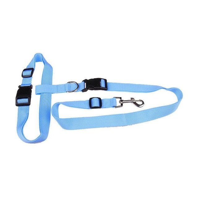 Active Dog Traction Leash