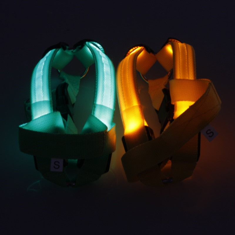 Nylon Pet Flashing Light Dog Harness