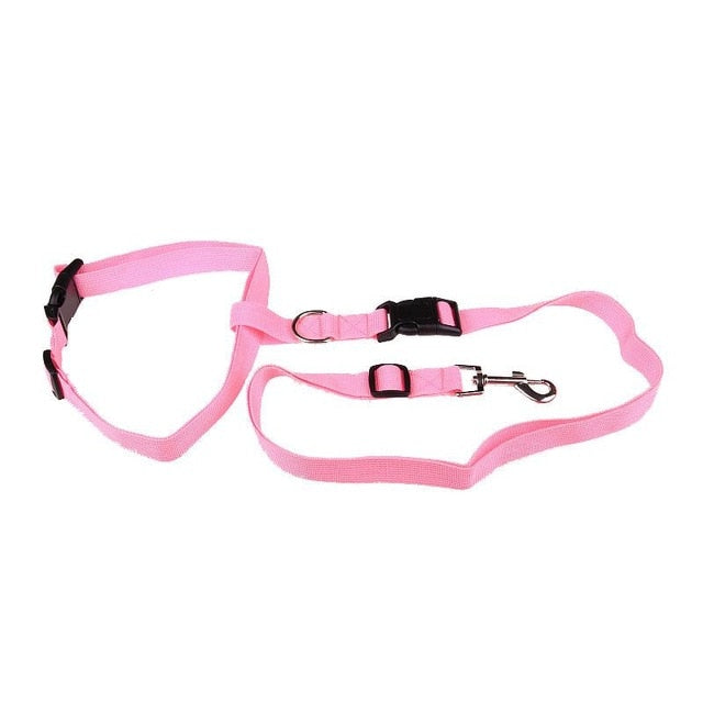 Active Dog Traction Leash