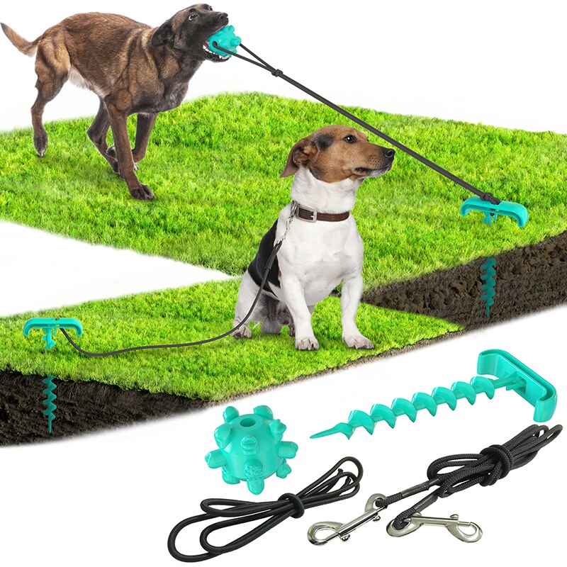 Outdoor Pet Toy