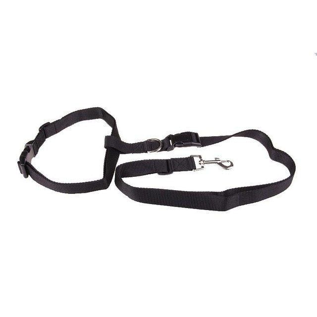 Active Dog Traction Leash