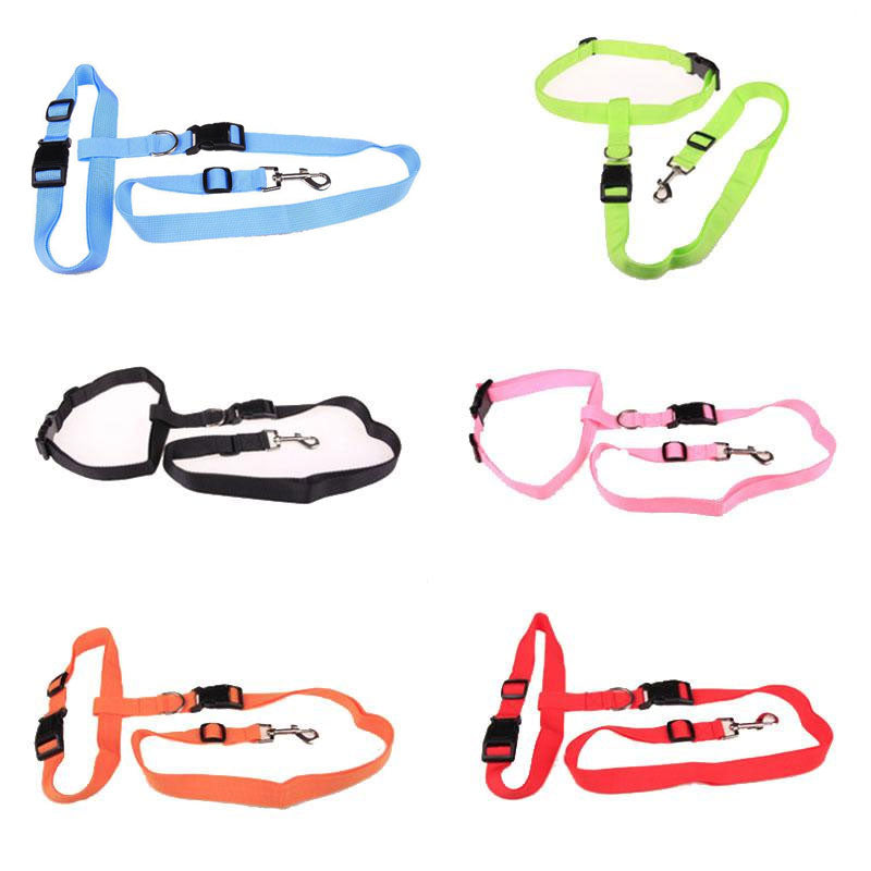 Active Dog Traction Leash