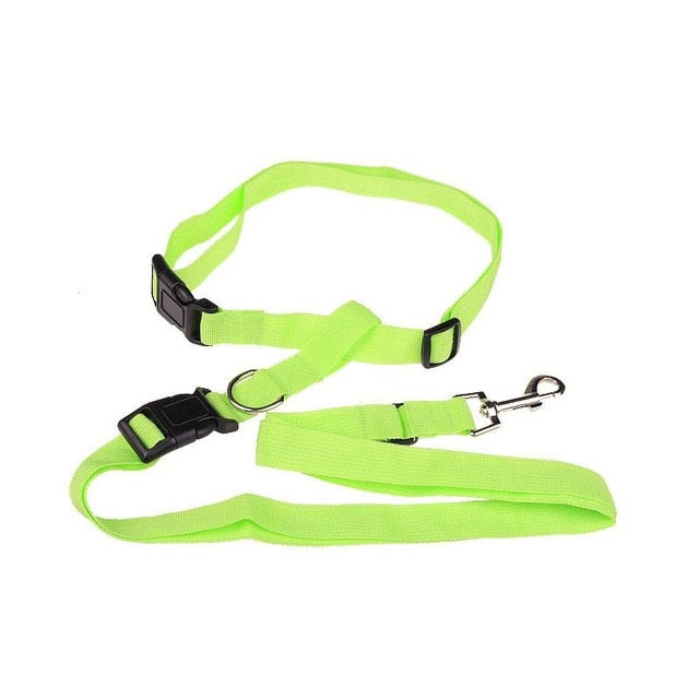 Active Dog Traction Leash