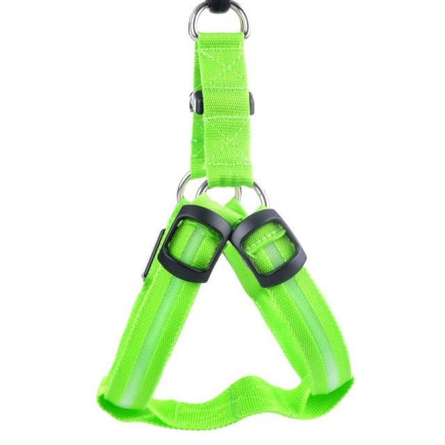 Nylon Pet Flashing Light Dog Harness