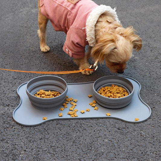 Portable Silicone Pet Bowl