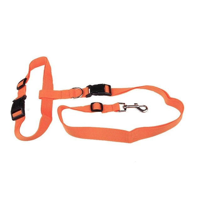 Active Dog Traction Leash