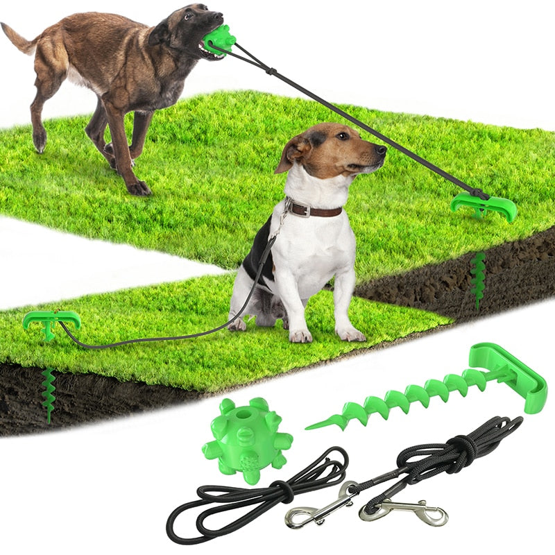 Outdoor Pet Toy