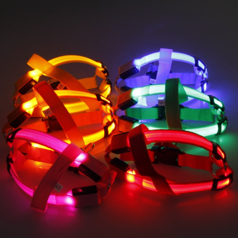 Nylon Pet Flashing Light Dog Harness