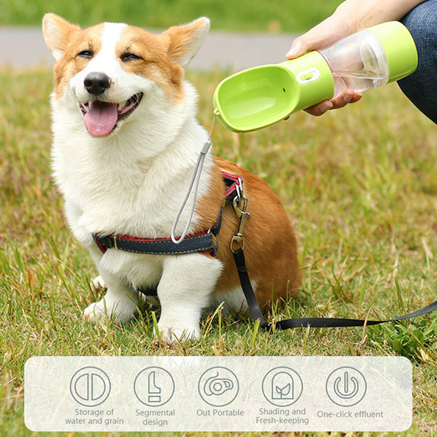 Dog and Cat Portable Water and Feeder Bottle