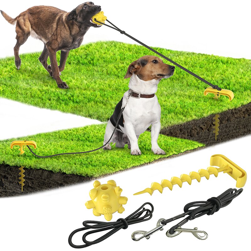 Outdoor Pet Toy