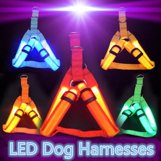 Nylon Pet Flashing Light Dog Harness