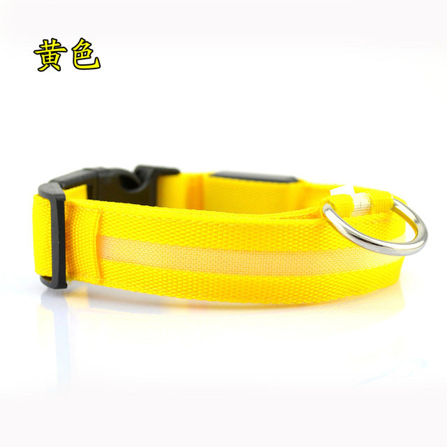 Nylon Pet Flashing Glow Dog Collar