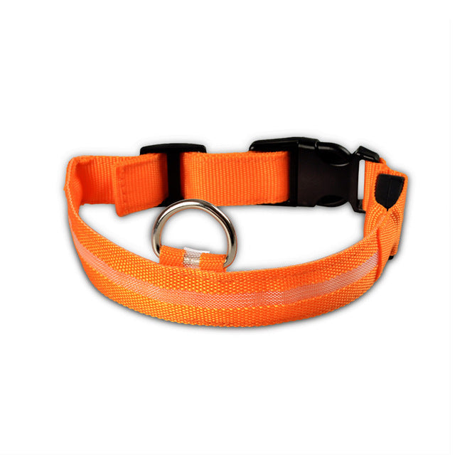 Nylon Pet Flashing Glow Dog Collar