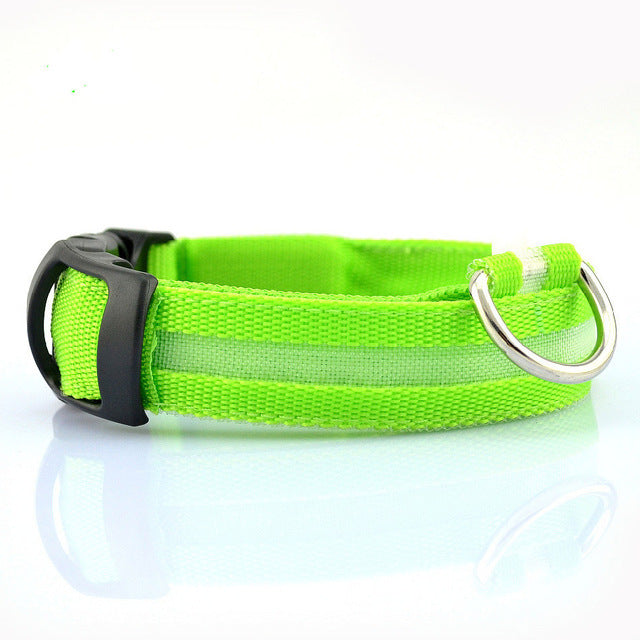 Nylon Pet Flashing Glow Dog Collar