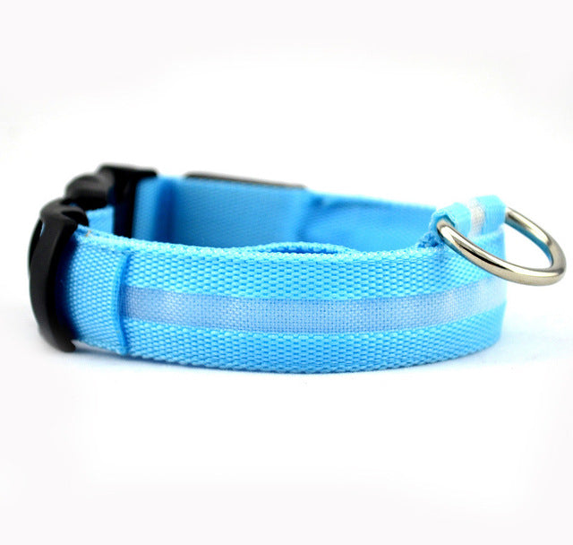 Nylon Pet Flashing Glow Dog Collar