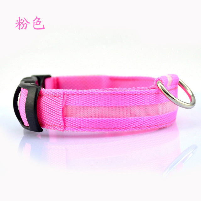 Nylon Pet Flashing Glow Dog Collar