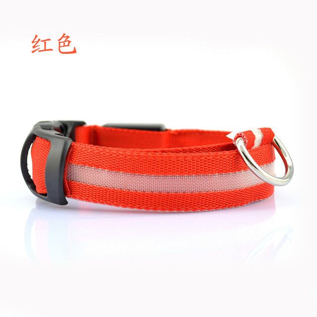 Nylon Pet Flashing Glow Dog Collar