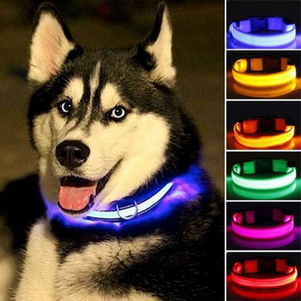 Nylon Pet Flashing Glow Dog Collar