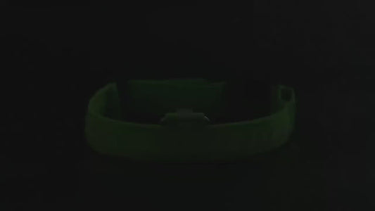 Nylon Pet Flashing Glow Dog Collar